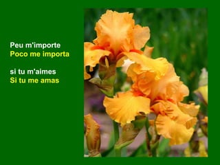 Peu m'importe
Poco me importa
si tu m'aimes
Si tu me amas
 