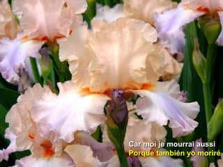 Car moi je mourrai aussiCar moi je mourrai aussi
Porque también yo moriréPorque también yo moriré
 