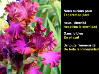 Dans le bleu
En el azul
de toute l'immensité
De toda la inmensidad
Nous aurons pour
Tendremos para
nous l'éternité
nosotros la eternidad
 