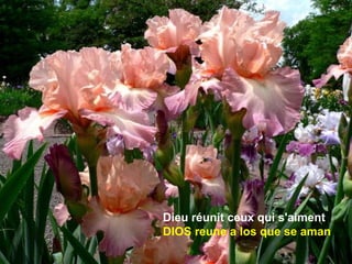 Dieu réunit ceux qui s'aiment
DIOS reune a los que se aman
 