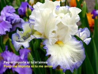 Peu m'importe si tu m'aimes
Poco me importa si tu me amas
 