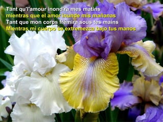 Tant qu'l'amour inond'ra mes matinsTant qu'l'amour inond'ra mes matins
mientras que el amor inunde mis mañanasmientras que el amor inunde mis mañanas
Tant que mon corps frémira sous tes mainsTant que mon corps frémira sous tes mains
Mientras mi cuerpo se extremezca bajo tus manosMientras mi cuerpo se extremezca bajo tus manos
 