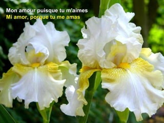 Mon amour puisque tu m'aimesMon amour puisque tu m'aimes
Mi amor, porque tu me amasMi amor, porque tu me amas
 