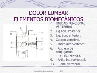 DOLOR LUMBAR ELEMENTOS BIOMECÁNICOS UNIDAD FUNCIONAL VERTEBRAL: Lig.Lon. Posterior. Lig. Lon. anterior. Cuerpo vertebral. 5.  Disco intervertebral. 6.  Agujero de conjugación  y raíz nerviosa.  9.  Artic. intervertebral. 13.  Canal vertebral. 