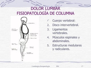 DOLOR LUMBAR FISIOPATOLOGÍA DE COLUMNA Cuerpo vertebral: Disco intervertebral. Ligamentos vertebrales. Músculos espinales y abdominales. Estructuras medulares y radiculares. 