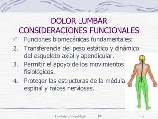 DOLOR LUMBAR CONSIDERACIONES FUNCIONALES Funciones biomecánicas fundamentales: Transferencia del peso estático y dinámico del esqueleto axial y apendicular. Permitir el apoyo de los movimientos fisiológicos. Proteger las estructuras de la médula espinal y raíces nerviosas. 