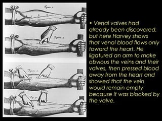 • Venal valves had 
already been discovered, 
but here Harvey shows 
that venal blood flows only 
toward the heart. He 
ligatured an arm to make 
obvious the veins and their 
valves, then pressed blood 
away from the heart and 
showed that the vein 
would remain empty 
because it was blocked by 
the valve. 
 