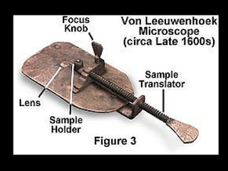 63   scientific revolution
