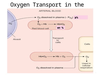 630196449-Transport-of-Oxygen-and-Carbondioxide.pptx