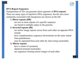 630430019-Transposons-in-humavety usefulns.pdf