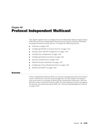 ScreenOS 6.1 Concepts & Examples