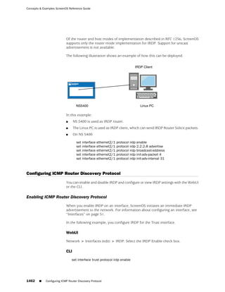 ScreenOS 6.1 Concepts & Examples