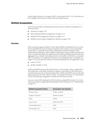 ScreenOS 6.1 Concepts & Examples