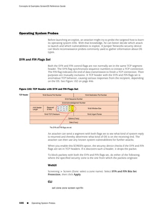 ScreenOS 6.1 Concepts & Examples
