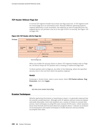 ScreenOS 6.1 Concepts & Examples