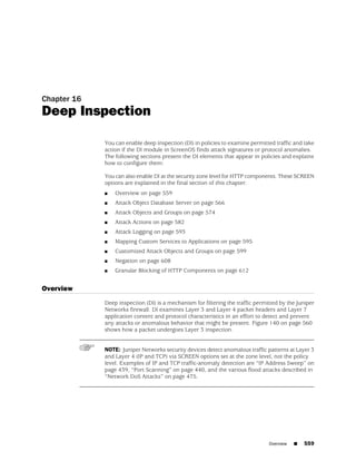 ScreenOS 6.1 Concepts & Examples