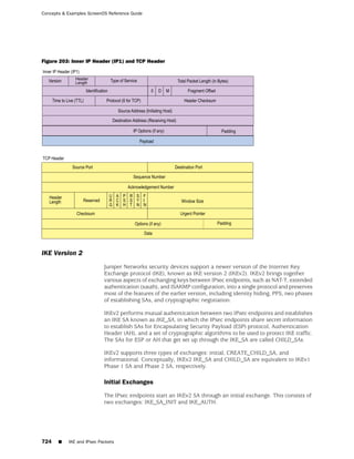 ScreenOS 6.1 Concepts & Examples