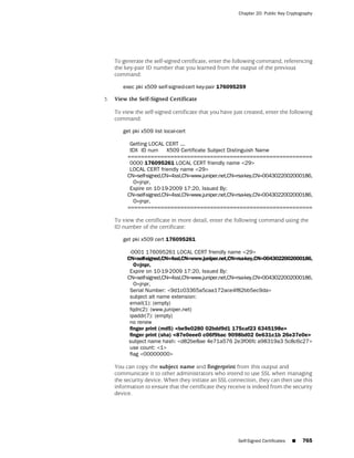 ScreenOS 6.1 Concepts & Examples