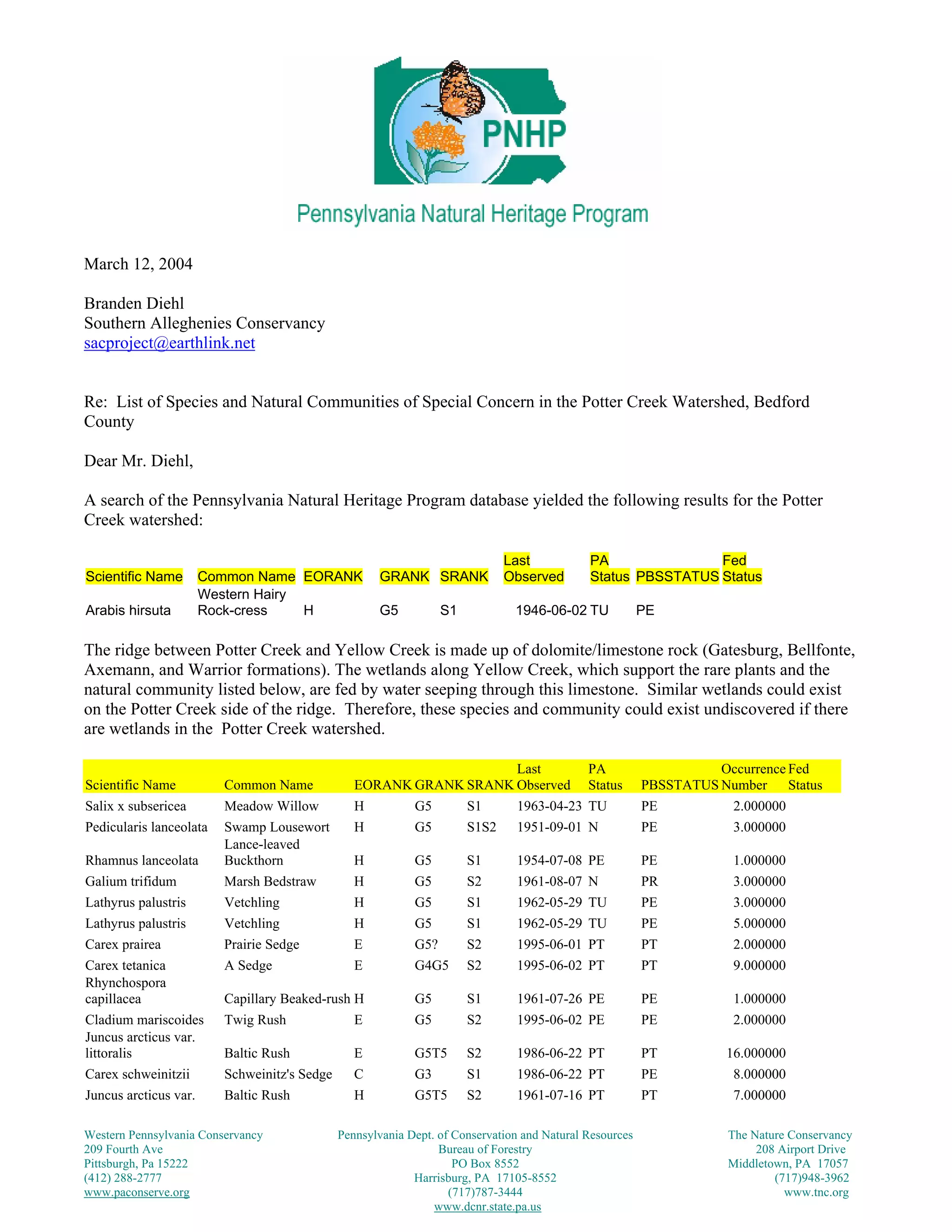 Western Pennsylvania Conservancy Pennsylvania Dept. of Conservation and Natural Resources The Nature Conservancy
209 Fourth Ave Bureau of Forestry 208 Airport Drive
Pittsburgh, Pa 15222 PO Box 8552 Middletown, PA 17057
(412) 288-2777 Harrisburg, PA 17105-8552 (717)948-3962
www.paconserve.org
March 12, 2004
Branden Diehl
Southern Alleghenies Conservancy
sacproject@earthlink.net
Re: List of Species and Natural Communities of Special Concern in the Potter Creek Watershed, Bedford
County
Dear Mr. Diehl,
A search of the Pennsylvania Natural Heritage Program database yielded the following results for the Potter
Creek watershed:
Scientific Name Common Name EORANK GRANK SRANK
Last
Observed
PA
Status PBSSTATUS
Fed
Status
Arabis hirsuta
Western Hairy
Rock-cress H G5 S1 1946-06-02 TU PE
The ridge between Potter Creek and Yellow Creek is made up of dolomite/limestone rock (Gatesburg, Bellfonte,
Axemann, and Warrior formations). The wetlands along Yellow Creek, which support the rare plants and the
natural community listed below, are fed by water seeping through this limestone. Similar wetlands could exist
on the Potter Creek side of the ridge. Therefore, these species and community could exist undiscovered if there
are wetlands in the Potter Creek watershed.
Scientific Name Common Name EORANK GRANK SRANK
Last
Observed
PA
Status PBSSTATUS
Occurrence
Number
Fed
Status
Salix x subsericea Meadow Willow H G5 S1 1963-04-23 TU PE 2.000000
Pedicularis lanceolata Swamp Lousewort H G5 S1S2 1951-09-01 N PE 3.000000
Rhamnus lanceolata
Lance-leaved
Buckthorn H G5 S1 1954-07-08 PE PE 1.000000
Galium trifidum Marsh Bedstraw H G5 S2 1961-08-07 N PR 3.000000
Lathyrus palustris Vetchling H G5 S1 1962-05-29 TU PE 3.000000
Lathyrus palustris Vetchling H G5 S1 1962-05-29 TU PE 5.000000
Carex prairea Prairie Sedge E G5? S2 1995-06-01 PT PT 2.000000
Carex tetanica A Sedge E G4G5 S2 1995-06-02 PT PT 9.000000
Rhynchospora
capillacea Capillary Beaked-rush H G5 S1 1961-07-26 PE PE 1.000000
Cladium mariscoides Twig Rush E G5 S2 1995-06-02 PE PE 2.000000
Juncus arcticus var.
littoralis Baltic Rush E G5T5 S2 1986-06-22 PT PT 16.000000
Carex schweinitzii Schweinitz's Sedge C G3 S1 1986-06-22 PT PE 8.000000
Juncus arcticus var. Baltic Rush H G5T5 S2 1961-07-16 PT PT 7.000000
(717)787-3444 www.tnc.org
www.dcnr.state.pa.us
 