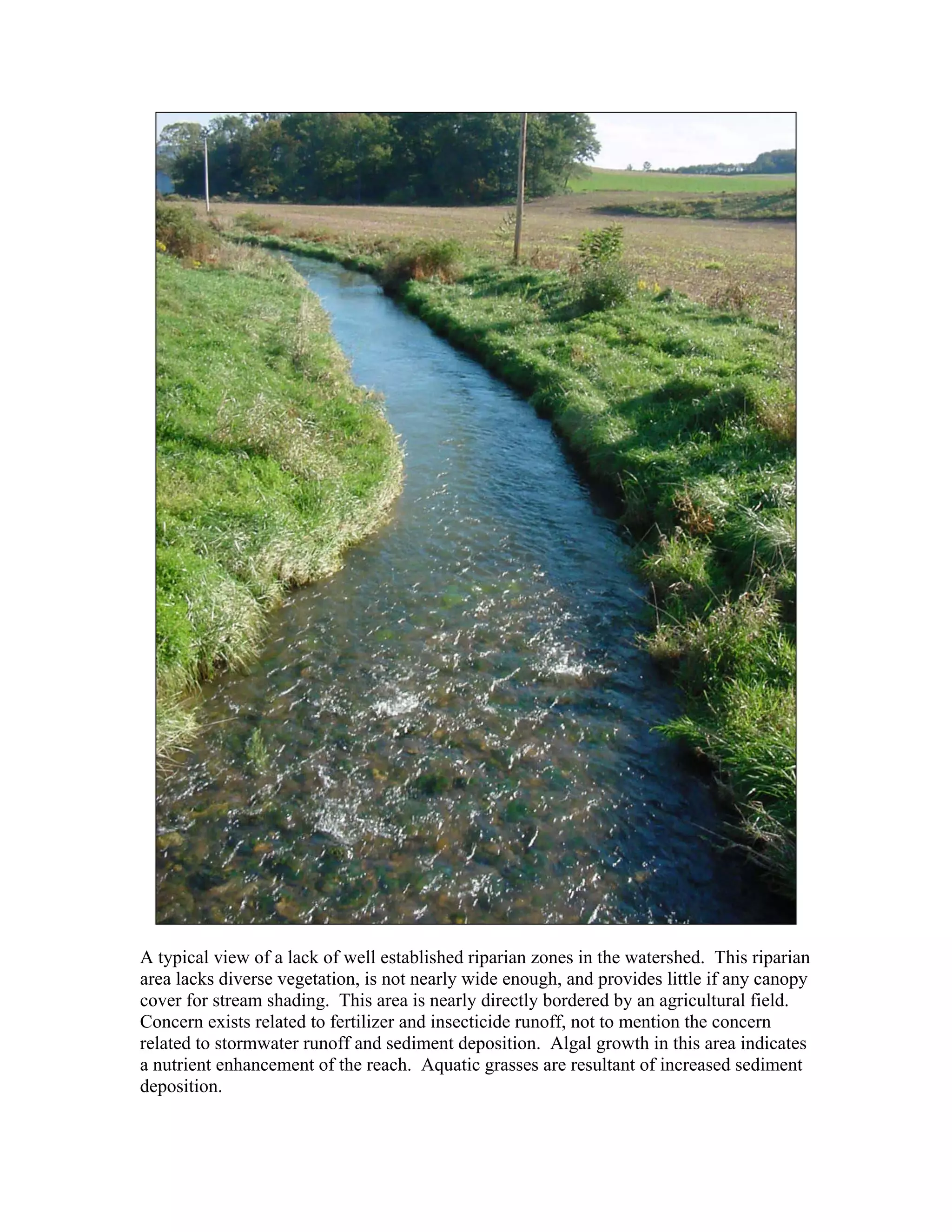 A typical view of a lack of well established riparian zones in the watershed. This riparian
area lacks diverse vegetation, is not nearly wide enough, and provides little if any canopy
cover for stream shading. This area is nearly directly bordered by an agricultural field.
Concern exists related to fertilizer and insecticide runoff, not to mention the concern
related to stormwater runoff and sediment deposition. Algal growth in this area indicates
a nutrient enhancement of the reach. Aquatic grasses are resultant of increased sediment
deposition.
 
