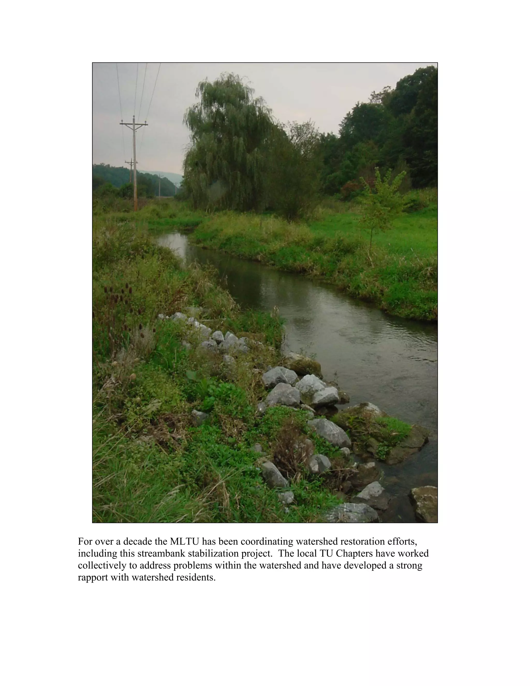 For over a decade the MLTU has been coordinating watershed restoration efforts,
including this streambank stabilization project. The local TU Chapters have worked
collectively to address problems within the watershed and have developed a strong
rapport with watershed residents.
 