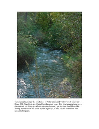This picture taken near the confluence of Potter Creek and Yellow Creek near State
Route (SR) 36 exhibits a well established riparian zone. This riparian zone is narrower
than desired, but illustrates what a complete forested riparian zone should look like.
Nearby influences on this reach include highways, a rural electric substation, and
residential impacts.
 