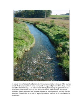 A typical view of a lack of well established riparian zones in the watershed. This riparian
area lacks diverse vegetation, is not nearly wide enough, and provides little if any canopy
cover for stream shading. This area is nearly directly bordered by an agricultural field.
Concern exists related to fertilizer and insecticide runoff, not to mention the concern
related to stormwater runoff and sediment deposition. Algal growth in this area indicates
a nutrient enhancement of the reach. Aquatic grasses are resultant of increased sediment
deposition.
 