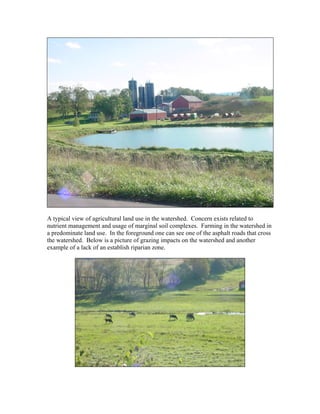 A typical view of agricultural land use in the watershed. Concern exists related to
nutrient management and usage of marginal soil complexes. Farming in the watershed in
a predominate land use. In the foreground one can see one of the asphalt roads that cross
the watershed. Below is a picture of grazing impacts on the watershed and another
example of a lack of an establish riparian zone.
 