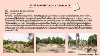 Royal Park Nature Play, Parkville
ที่ตั้ง : Melbourne ประเทศออสเตรเลีย
พื้นที่ : ประมาณ 5 เอเคอร์
ที่น่าสนใจ : เป็นพื้นที่สนามหญ้าเปิดโล่ง สถานที่รวบรวมและพบปะ ไตร่ตรองและถอย และเชื่อมโยงกับท้องฟ้ากว้างใหญ่ มี
ศูนย์กลางอยู่ที่พื้นที่เล่นที่สร้างสรรค์และสร้างสรรค์ซึ่งสร้างขึ้นจากภูมิประเทศใหม่ของเนินเขา ลำธาร ทุ่งหญ้า และลำธาร
โดยเชื่อมต่อกับพื้นที่สวนที่มีอยู่แล้วในสองวิธีที่แตกต่างกัน เนินหญ้าเป็นฉากหลังของพื้นที่ใหม่ที่สร้างคำเชิญให้สำรวจพื้นที่
กว้างใหญ่ของ Royal Park เป็นการเฉลิมฉลองธรรมชาติอันน่าทึ่งของ Royal Park ด้วยทิวทัศน์อันยาวไกลไปจนถึงทุ่ง
หญ้าและทิวทัศน์ที่ตัดกันเมื่อย้อนกลับไปที่เส้นขอบฟ้าของเมือง ในระดับที่ใกล้ชิดยิ่งขึ้น พื้นที่ที่เป็นร่องน้ำถูกตั้งค่าให้ชิดกับ
ป่าที่มีอยู่เพื่อฝังสิ่งเหล่านี้ไว้ภายในผืนพืชพรรณของอุทยาน ซึ่งสนับสนุนให้กิจกรรมการเล่นขยายไปสู่พื้นที่ที่ไม่มีโครงสร้าง
ของสวนที่กว้างขึ้น
631710135 นางสาวสุวรา สำเภา
 