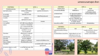 631710135 นางสาวสุวรา สำเภา
 