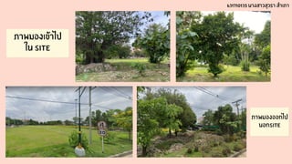 ภาพมองเข้าไป
ใน SITE
ภาพมองออกไป
นอกSITE
631710135 นางสาวสุวรา สำเภา
 