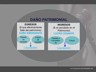 DAÑO PATRIMONIAL
EGRESOS
($ que efectivamente
Sale del patrimonio)
DAÑO EMERGENTE
Liquidación
Pasado
ya
causado
Futuro
se
causará
INGRESOS
($ no percibido en el
Patrimonio)
LUCRO CESANTE
Liquidación
Pasado o
Consolida-
do
Futuro
 