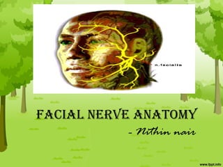 FACIAL NERVE ANATOMY
- Nithin nair
 