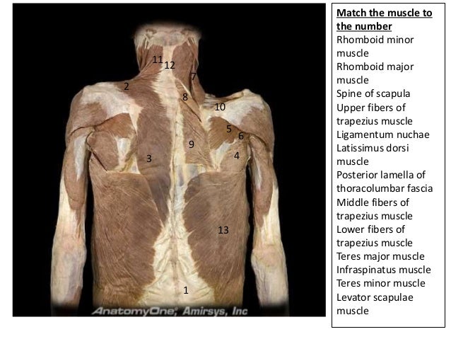 Lecture Two chapter 2 and 3 (#3) posted PPP