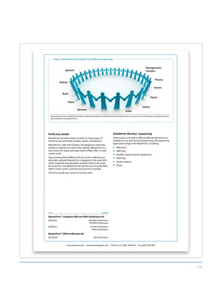 132
www.epicentre.com • epicentral.blogspot.com • Toll-Free U.S. (800) 284-8474 • Fax (608) 258-3089
Figure 2. MasterPure easily purifies many different sample types.
Cat. # Quantity
MasterPure™ Complete DNA and RNA Purification kit
MC85200 200 DNA Purifications
100 RNA Purifications
MC89010 10 DNA Purifications
5 RNA Purifications
MasterPure™ DNA Purification Kit
MCD85201 200 Purifications
Purify any sample
MasterPure has been shown to work for many types of
human tissue and blood samples, plants, and bacteria.
MasterPure is safe and nontoxic. No dangerous chemicals,
phenol or hazards are used in the method. MasterPure is a
wise choice for safety and high yields of RNA, DNA, or total
nucleic acids.
Stop stocking three different kits for small, moderate and
abundant samples! MasterPure is designed to be used with
small, moderate and abundant samples without the need
for many kits. One MasterPure kit permits you to purify RNA,
DNA or total nucleic acid from any amount of sample.
One kit to purify your choice of nucleic acids.
MasterPure has been published showing excellent purification of nearly every type of sample. Here we see just a few of the types of samples that have
been published using MasterPure.
Sputum
Kidney
Brain
Metagenomic
Samples
Semen
Salivia
Plasma
Plants
Heart
Bacteria
Urine
Suitable for Illumina® sequencing
Total nucleic acid, DNA or RNA purified by MasterPure is
suitable for use with Illumina sequencing. All sequencing
applications begin with MasterPure, including:
„ Ribo-Zero
„ RNA-Seq
„ Bisulfite sequencing for epigenetics
„ DNA-Seq
„ Exome capture
„ More...
 