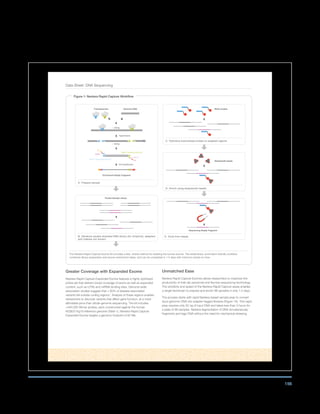 156
Data Sheet: DNA Sequencing
Greater Coverage with Expanded Exome
Nextera Rapid Capture Expanded Exome features a highly optimized
probe set that delivers broad coverage of exons as well as expanded
content, such as UTRs and miRNA binding sites. Genome-wide
association studies suggest that  80% of disease-associated
variants fall outside coding regions1
. Analysis of these regions enables
researchers to discover variants that affect gene function, at a more
affordable price than whole-genome sequencing. The kit includes
340,000 95mer probes, each constructed against the human
NCBI37/hg19 reference genome (Table 1). Nextera Rapid Capture
Expanded Exome targets a genomic footprint of 62 Mb.
Unmatched Ease
Nextera Rapid Capture Exomes allows researchers to maximize the
productivity of their lab personnel and Illumina sequencing technology.
The simplicity and speed of the Nextera Rapid Capture assay enables
a single technician to prepare and enrich 96 samples in only 1.5 days.
The process starts with rapid Nextera-based sample prep to convert
input genomic DNA into adapter-tagged libraries (Figure 1A). This rapid
prep requires only 50 ng of input DNA and takes less than 3 hours for
a plate of 96 samples. Nextera tagmentation of DNA simultaneously
fragments and tags DNA without the need for mechanical shearing.
Figure 1: Nextera Rapid Capture Workflow
B. Denature double-stranded DNA library (for simplicity, adapters
and indexes not shown)
A. Prepare sample
Pooled Sample Library
Biotin probes
D. Enrich using streptavidin beads
C. Hybridize biotinylated probes to targeted regions
Streptavidin beads
Sequencing-Ready Fragment
E. Elute from beads
Enrichment-Ready Fragment
Tagmentation
PCR Amplification
Transposomes Genomic DNA
P5
P7
Index 1
Index 2
Read 1 Sequencing Primer
Read 2 Sequencing Primer
~ 300 bp
~ 300 bp
The Nextera Rapid Capture Exome Kit provides a fast, simple method for isolating the human exome. The streamlined, automation-friendly workflow
combines library preparation and exome enrichment steps, and can be completed in 1.5 days with minimum hands-on time.
 