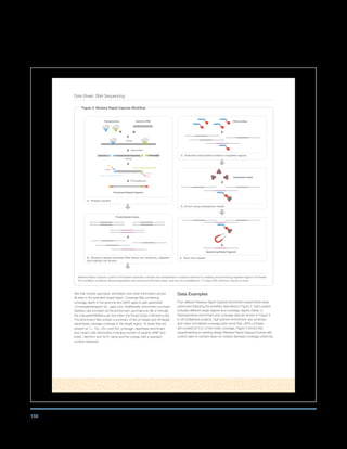 159
Data Sheet: DNA Sequencing
files that contain genotype, annotation and other information across
all sites in the specified target region. Coverage files containing
coverage depth in the genome and within gaps is also generated
(.CoverageHistogram.txt, .gaps.csv). Additionally, enrichment summary
statistics are provided via the.enrichment_summary.csv file or through
the CalculateHSMetrics.jar tool within the Picard Suite (.HSmetrics.txt).
The enrichment files contain a summary of the on-target and off-target
reads/base, average coverage in the target region, % reads that are
present at 1×, 10×, 20×, and 50× coverage, read/base enrichment
and variant calls information including number of variants (SNP and
Indel), Het/Hom and Ts/Tv ratios and the overlap with a standard
curated database.
Data Examples
Four different Nextera Rapid Capture Enrichment experiments were
performed following the workflow described in Figure 2. Each project
included different target regions and coverage depths (Table 1).
Representative enrichment and coverage data are shown in Figure 3.
In all multiplexed projects, high percent enrichment was achieved,
and mean normalized coverage plots show that 85% of bases
are covered at 0.2× of the mean coverage. Figure 4 shows that
supplementing an existing design (Nextera Rapid Capture Exome) with
custom add-on content does not notably decrease coverage uniformity.
Figure 2: Nextera Rapid Capture Workflow
B. Denature double-stranded DNA library (for simplicity, adapters
and indexes not shown)
A. Prepare sample
Pooled Sample Library
Biotin probes
D. Enrich using streptavidin beads
C. Hybridize biotinylated probes to targeted regions
Streptavidin beads
Sequencing-Ready Fragment
E. Elute from beads
Enrichment-Ready Fragment
Tagmentation
PCR Amplification
Transposomes Genomic DNA
P5
P7
Index 1
Index 2
Read 1 Sequencing Primer
Read 2 Sequencing Primer
~ 230 bp
~ 230 bp
Nextera Rapid Capture Custom Enrichment provides a simple and streamlined in-solution method for isolating and enriching targeted regions of interest.
The workflow combines library preparation and exome enrichment steps, and can be completed in 1.5 days with minimum hands-on time.
 