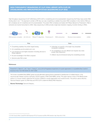 17
HIGH-THROUGHPUT SEQUENCING OF CLIP CDNA LIBRARY (HITS-CLIP) OR
CROSSLINKING AND IMMUNOPRECIPITATION SEQUENCING (CLIP-SEQ)
RNA-protein complex RNA extractionRNase T1 digestionUV 254 nm cDNAReverse transcriptionProteinase K
High-throughput sequencing of CLIP cDNA library (HITS-CLIP) or crosslinking and immunoprecipitation sequencing (CLIP-Seq) maps protein-RNA
binding sites in vivo13
. This approach is similar to RIP-Seq, but uses crosslinking to stabilize the protein-RNA complexes. In this method, RNA-pro-
tein complexes are UV crosslinked and immunoprecipitated. The protein-RNA complexes are treated with RNase followed by Proteinase K. RNA is
extracted and reverse-transcribed to cDNA. Deep sequencing of cDNA provides single-base resolution mapping of protein binding to RNAs.
Pros Cons
•	 Crosslinking stabilizes the protein-target binding
•	 UV crosslinking can be carried out in vivo
•	Low background and higher resolution of binding site due to
RNase digestion
•	 No prior knowledge of the RNA is required
•	 Genome-wide RNA screen
•	Antibodies not specific to the target may precipitate
nonspecific complexes
•	UV crosslinking is not very efficient and requires very close
protein-RNA interactions
•	 Artifacts may be introduced during the crosslinking process
References
Poulos M. G., Batra R., Li M., Yuan Y., Zhang C., et al. (2013) Progressive impairment of muscle regeneration in muscleblind-like 3 isoform
knockout mice. Hum Mol Genet 22: 3547-3558
The human muscleblind-like (MBNL) genes encode alternative splicing factors essential for development of multiple tissues. In the
neuromuscular disease myotonic dystrophy, C(C)UG repeats in RNA inhibit MBNL activity. This paper reports a study of the Mbnl3 protein
isoform in a mouse model to determine the function of Mbnl3 in muscle regeneration and muscle function. The authors used an Illumina
Genome Analyzer system for RNA-Seq and HITS-CLIP to determine Mbnl3-RNA interaction.
Illumina Technology: Genome AnalyzerIIx
13	
Chi SW, Zang JB, Mele A, Darnell RB; (2009) Argonaute HITS-CLIP decodes microRNA-mRNA interaction maps. Nature 460: 479-86
 