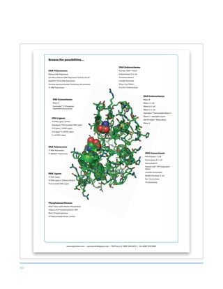 197
www.epicentre.com • epicentral.blogspot.com • Toll-Free U.S. (800) 284-8474 • Fax (608) 258-3089
Phosphatases/Kinases
APex™ Heat-Labile Alkaline Phosphatase
Tobacco Acid Pyrophosphatase (TAP)
RNA 5′ Polyphosphatase
T4 Polynucleotide Kinase, Cloned
Browse the possibilities…
DNA Polymerases
Klenow DNA Polymerase
Exo-Minus Klenow DNA Polymerase (D355A, E357A)
RepliPHI™ Phi29 DNA Polymerase
Terminal deoxynucleotidyl Transferase, Recombinant
T4 DNA Polymerase
RNA Polymerases
T7 RNA Polymerase
T7 RDNA™ Polymerase
DNA Endonucleases
Baseline-ZERO™ DNase
Endonuclease IV, E. coli
T4 Endonuclease V
Lambda Terminase
RNase-Free DNase I
Pvu Rts1I Endonuclease
RNA Endonucleases
RNase A
RNase I, E. coli
RNase III, E. coli
RNase H, E. coli
Hybridase™ Thermostable RNase H
RNase T1, Aspergillus oryzae
RiboShredder™ RNase Blend
RNase A
DNA Exonucleases
Exonuclease I, E. coli
Exonuclease III, E. coli
Exonuclease VII
Plasmid-Safe™ ATP-Dependent
DNase
Lambda Exonuclease
RecBCD Nuclease, E. coli
Rec J Exonuclease
T5 Exonuclease
RNA Exonucleases
RNase R
Terminator™ 5′-Phosphate-
Dependent Exonuclease
DNA Ligases
T4 DNA Ligase, Cloned
Ampligase® Thermostable DNA Ligase
CircLigase™ ssDNA Ligase
CircLigase™ II ssDNA Ligase
E. coli DNA Ligase
RNA Ligases
T4 RNA Ligase
T4 RNA Ligase 2, Deletion Mutant
Thermostable RNA Ligase
 