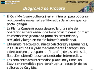 Curso Corto de PLANTA CONCENTRADORA FREEPORT | PPTX