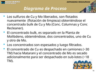Curso Corto de PLANTA CONCENTRADORA FREEPORT | PPTX
