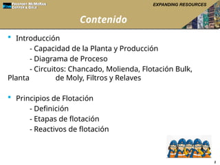 Curso Corto de PLANTA CONCENTRADORA FREEPORT | PPTX