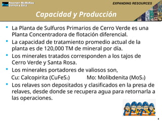 Curso Corto de PLANTA CONCENTRADORA FREEPORT | PPTX