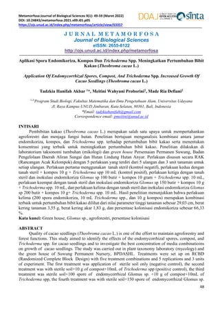 Metamorfosa:Journal of Biological Sciences 9(1): 49-59 (Maret 2022)
DOI: 10.24843/metamorfosa.2021.v09.i01.p05
https://ojs.unud.ac.id/index.php/metamorfosa/article/view/63357
J U R N A L M E T A M O R F O S A
Journal of Biological Sciences
eISSN: 2655-8122
http://ojs.unud.ac.id/index.php/metamorfosa
48
Aplikasi Spora Endomikoriza, Kompos Dan Trichoderma Spp. Meningkatkan Pertumbuhan Bibit
Kakao (Theobroma cacao L.)
Application Of Endomycorrhizal Spores, Compost, And Trichoderma Spp. Increased Growth Of
Cacao Seedlings (Theobroma cacao L.)
Tadzkia Hanifah Akbar 1*, Meitini Wahyuni Proborini2, Made Ria Defiani2
1,2)
Program Studi Biologi, Fakultas Matematika dan Ilmu Pengetahuan Alam, Universitas Udayana
Jl. Raya Kampus UNUD Jimbaran, Kuta Selatan, 80361, Bali, Indonesia
*Email: tadzkiahanifah@gmail.com
Correspondence email: pmeitini@unud.ac.id
INTISARI
Pembibitan kakao (Theobroma cacao L.) merupakan salah satu upaya untuk mempertahankan
agroforestri dan menjaga fungsi hutan. Penelitian bertujuan menganalisis kombinasi antara jamur
endomikoriza, kompos, dan Trichoderma spp. terhadap pertumbuhan bibit kakao serta menentukan
konsentrasi yang terbaik untuk meningkatkan pertumbuhan bibit kakao. Penelitian dilakukan di
laboratorium taksonomi tumbuhan (mikologi) dan green house Persemaian Permanen Suwung, Badan
Pengelolaan Daerah Aliran Sungai dan Hutan Lindung Hutan Anyar. Perlakuan disusun secara RAK
(Rancangan Acak Kelompok) dengan 5 perlakuan yang terdiri dari 5 ulangan dan 3 unit tanaman untuk
setiap ulangan. Perlakuan pertama menggunakan tanah steril (kontrol negatif), perlakuan kedua dengan
tanah steril + kompos 10 g + Trichoderma spp 10 mL (kontrol positif), perlakuan ketiga dengan tanah
steril dan inokulasi endomikoriza Glomus sp 100 butir + kompos 10 gram + Trichoderma spp. 10 mL,
perlakuan keempat dengan tanah steril dan inokulasi endomikoriza Glomus sp 150 butir + kompos 10 g
+ Trichoderma spp. 10 mL, dan perlakuan kelima dengan tanah steril dan inokulasi endomikoriza Glomus
sp 200 butir + kompos 10 g+ Trichoderma spp. 10 mL. Hasil penelitian menunjukkan bahwa perlakuan
kelima (200 spora endomikoriza, 10 mL Trichoderma spp., dan 10 g kompos) merupakan kombinasi
terbaik untuk pertumbuhan bibit kakao dilihat dari nilai parameter tinggi tanaman sebesar 29,03 cm, berat
kering tanaman 3,55 g, berat kering akar 1,83 g, dan persentase kolonisasi endomikoriza sebesar 66,33
%.
Kata kunci: Green house, Glomus sp., agroforestri, persentase kolonisasi
ABSTRACT
Quality of cacao seedlings (Theobroma cacao L.) is one of the effort to maintain agroforestry and
forest functions. This study aimed to identify the effects of the endomycorrhizal spores, compost, and
Trichoderma spp. for cacao seedlings and to investigate the best concentration of media combinatioins
on growth of cacao seedlings. The study was carried out in plant taxonomy laboratory (mycology) and
the green house of Suwung Permanent Nursery, BPDASHL. Treatments were set up on RCBD
(Randomized Complete Block Design) with five treatment combinations and 5 replications and 3 units
of experiment. The first treatment was application of sterile soil only (negative control), the second
treatment was with sterile soil+10 g of compost+10mL of Trichoderma spp (positive control), the third
treatment was sterile soil+100 spore of endomycorrhizal Glomus sp. +10 g of compost+10mL of
Trichoderma spp, the fourth treatment was with sterile soil+150 spore of endomycorrhizal Glomus sp.
 