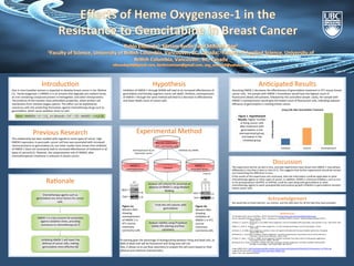 Hypothesis	
  
Inhibi.on	
  of	
  HMOX-­‐1	
  through	
  ShRNA	
  will	
  lead	
  to	
  an	
  increased	
  eﬀec.veness	
  of	
  
gemcitabine	
  and	
  thereby	
  augment	
  cancer	
  cell	
  death.	
  Similarly,	
  overexpression	
  
of	
  HMOX-­‐1	
  through	
  the	
  same	
  method	
  will	
  lead	
  to	
  a	
  decrease	
  in	
  eﬀec.veness	
  
and	
  lower	
  death	
  count	
  of	
  cancer	
  cells.	
  
	
  
Experimental	
  Method	
  
	
  
	
  
	
  
	
  
	
  
	
  
	
  
	
  
	
  
	
  
	
  
	
  
	
  
	
  
	
  
	
  
	
  
	
  
	
  
	
  
	
  
	
  
	
  
	
  
	
  
	
  
	
  
	
   	
   	
  	
  	
  	
  	
  	
  	
   	
  	
  
	
  
	
  
PI	
  staining	
  gives	
  the	
  advantage	
  of	
  dis.nguishing	
  between	
  living	
  and	
  dead	
  cells,	
  as	
  	
  
DNA	
  of	
  dead	
  cells	
  will	
  be	
  ﬂuorescent	
  and	
  living	
  ones	
  will	
  not.	
  	
  
Also,	
  it	
  allows	
  us	
  to	
  use	
  ﬂow	
  cytometry	
  to	
  analyze	
  the	
  cell	
  count	
  based	
  on	
  their	
  	
  	
  	
  	
  	
  	
  
physical	
  and	
  chemical	
  characteris.cs.	
  	
  
Introduc.on	
  
One	
  in	
  nine	
  Canadian	
  women	
  is	
  expected	
  to	
  develop	
  breast	
  cancer	
  in	
  her	
  life.me	
  
(1).	
  	
  Heme-­‐oxygenase-­‐1	
  (HMOX-­‐1)	
  is	
  an	
  enzyme	
  that	
  degrades	
  pro-­‐oxidant	
  heme,	
  
an	
  iron	
  containing	
  compound	
  present	
  in	
  hemoglobin,	
  and	
  other	
  hemoproteins.	
  
The	
  products	
  of	
  this	
  reac.on	
  have	
  an.oxidant	
  proper.es,	
  which	
  protect	
  cell	
  
membranes	
  from	
  reac.ve	
  oxygen	
  species.	
  This	
  eﬀect	
  can	
  be	
  exploited	
  by	
  
cancerous	
  cells	
  into	
  protec.ng	
  themselves	
  against	
  chemotherapy	
  drugs	
  such	
  as	
  
gemcitabine,	
  which	
  cause	
  oxida.ve	
  stress	
  to	
  cells.	
  	
  
	
  
Ra.onale	
  
An.cipated	
  Results	
  
Assuming	
  HMOX-­‐1	
  decreases	
  the	
  eﬀec.veness	
  of	
  gemcitabine	
  treatment	
  in	
  4T1	
  mouse	
  breast	
  
cancer	
  cells,	
  	
  the	
  sample	
  with	
  HMOX-­‐1	
  knockdown	
  would	
  have	
  the	
  highest	
  count	
  of	
  
ﬂuorescent	
  (dead)	
  cells	
  present,	
  followed	
  by	
  the	
  controlled	
  sample.	
  Lastly,	
  the	
  sample	
  with	
  
HMOX-­‐1	
  overexpression	
  would	
  give	
  the	
  lowest	
  count	
  of	
  ﬂuorescent	
  cells,	
  indica.ng	
  reduced	
  
eﬃciency	
  of	
  gemcitabine	
  in	
  trea.ng	
  breast	
  cancer.	
  
	
  
	
  
	
  
	
  
	
  
	
  
Discussion	
  
The	
  experiment	
  will	
  be	
  carried	
  in	
  vitro,	
  and	
  past	
  experiments	
  have	
  shown	
  that	
  HMOX-­‐1	
  may	
  behave	
  
diﬀerently	
  in	
  vivo	
  than	
  it	
  does	
  in	
  vitro	
  (4,7).	
  This	
  suggests	
  that	
  further	
  experiments	
  should	
  be	
  carried	
  
out	
  researching	
  the	
  diﬀerence	
  in	
  vivo.	
  
If	
  the	
  results	
  of	
  this	
  experiment	
  are	
  conclusive,	
  then	
  the	
  informa.on	
  could	
  be	
  applicable	
  to	
  other	
  
chemotherapy	
  agents	
  or	
  other	
  types	
  of	
  cancer.	
  In	
  addi.on,	
  HMOX-­‐1	
  chemical	
  inhibitors,	
  such	
  as	
  zinc	
  	
  
or	
  .n	
  protoporphyrin	
  (ZnPPIX,	
  or	
  SnPPIX),	
  could	
  be	
  used	
  along	
  with	
  gemcitabine	
  or	
  other	
  
chemotherapy	
  agents	
  to	
  work	
  synergis.cally	
  and	
  produce	
  growth	
  inhibi.on	
  in	
  gemcitabine-­‐resistant	
  
breast	
  cancer	
  cells.	
  
References	
  
(1)	
  Canadian	
  breast	
  cancer	
  founda.on.	
  (2013).	
  Retrieved	
  from	
  hYps://www.cbcf.org/central/Pages/default.aspx.	
  
(2)	
  Lau,	
  Alexandria,	
  Nicole	
  V.,	
  Zheng	
  S.,	
  Pak	
  K.,	
  and	
  Donna	
  D.	
  "Dual	
  Roles	
  of	
  Nrf2	
  in	
  Cancer."	
  Pharmacological	
  Research	
  58.5-­‐6	
  
	
  (2008):	
  262-­‐70	
  
(3)	
  Nuhn,	
  P.,	
  Kunzli,	
  B.,	
  &	
  Hennig,	
  R.,et	
  al	
  (2009).	
  Heme	
  oxygenase-­‐1	
  and	
  its	
  metabolites	
  aﬀect	
  pancrea.c	
  tumor	
  growth	
  in	
  vivo.	
  	
  Mol	
  Cancer,	
  8(7),	
  
	
  37-­‐43.	
  
(4)Was,	
  H.,	
  Jozef,	
  D.,	
  &	
  Alicja,	
  J.	
  (2012).	
  Heme	
  oxygenase-­‐1	
  in	
  tumor	
  biology	
  and	
  therapy.	
  Current	
  Drug	
  Targets,	
  11(12),	
  
	
  1551-­‐1570.	
  
(5)	
  Nowis,	
  D.,	
  et.al06).	
  Heme	
  oxygenase-­‐1	
  protects	
  tumor	
  cells	
  against	
  photodynamic	
  therapy-­‐mediated	
  cytotoxicity.	
  Oncogene,	
  
	
  25(24),	
  3365-­‐3374.	
  
(6)	
  Berberat,	
  P.,	
  et.al	
  (2005).	
  Inhibi.on	
  of	
  heme	
  oxygenase-­‐1	
  increases	
  responsiveness	
  of	
  pancrea.c	
  cancer	
  cells	
  to	
  an.cancer	
  
	
  treatment.	
  Clinical	
  Cancer	
  Research,	
  10(11),	
  3790.	
  
(7)	
  Ryter,	
  S.,	
  Alam,	
  J.,	
  &	
  Choi,	
  A.	
  (2006).	
  Heme	
  oxygenase-­‐1/carbon	
  monoxide:	
  From	
  basic	
  science	
  to	
  therapeu.c	
  applica.ons.	
  
	
  Physiological	
  Reviews,	
  86(85),	
  583-­‐650.	
  
(8)	
  Song	
  W,	
  Su	
  H,	
  Song	
  S,	
  Paudel	
  HK,	
  Schipper	
  HM.	
  Over-­‐expression	
  of	
  heme	
  oxygenase-­‐1	
  promotes	
  oxida.ve	
  mitochondrial	
  
	
  damage	
  in	
  rat	
  astroglia.	
  J	
  Cell	
  Physiol	
  2006;	
  206:	
  655-­‐63.	
  
	
  
Image	
  (a)DNA	
  photo:	
  hYp://watchdog.wpengine.netdna-­‐cdn.com/wp-­‐content/blogs.dir/1/ﬁles/2013/11/shuYerstock_61775431.jpg	
  
Image	
  (b)	
  Petri	
  dish	
  photo:	
  hYp://www.clker.com/clipart-­‐342081.html	
  
Figure	
  1	
  Kim,	
  Ada.	
  Unpublished	
  data.	
  	
  
	
  
HMOX-­‐1	
  
knocked	
  down	
  
Murine	
  mammary	
  
4T1	
  carcinoma	
  cells	
  
Inhibi.on	
  by	
  shRNA	
  Overexpression	
  by	
  an	
  
expression	
  vector	
  
HMOX-­‐1	
  
overexpressed	
   Control	
  
Chemotherapy	
  agents	
  such	
  as	
  
gemcitabine	
  are	
  stress	
  factors	
  for	
  cancer	
  
cells.	
  	
  
	
  	
  
HMOX-­‐1	
  is	
  a	
  key	
  enzyme	
  for	
  protec.on	
  
against	
  oxida.ve	
  stress,	
  providing	
  
resistance	
  to	
  chemotherapy	
  (6,7)	
  
	
  	
  
Inhibi.ng	
  HMOX-­‐1	
  will	
  lower	
  the	
  
defense	
  of	
  cancer	
  cells,	
  making	
  
gemcitabine	
  more	
  eﬀec.ve	
  (8)	
  
	
  	
  
Inhibited	
   Control	
   Overexpressed	
  
Arbitrary	
  Number	
  
Living	
  Cells	
  A4er	
  Gemcitabine	
  Treatment	
  
Acknowledgement	
  
We	
  would	
  like	
  to	
  thank	
  Ada	
  Kim-­‐	
  our	
  mentor,	
  and	
  the	
  URO	
  team	
  for	
  all	
  the	
  help	
  they	
  have	
  provided.	
  
Figure	
  1.	
  Hypothesized	
  
Results:	
  Higher	
  number	
  
of	
  living	
  cancer	
  cells	
  
amer	
  treatment	
  with	
  
gemcitabine	
  in	
  the	
  
overexpressed	
  group,	
  
and	
  lowest	
  in	
  the	
  
inhibited	
  group	
  
Treat	
  the	
  cell	
  cultures	
  with	
  
gemcitabine	
  
Analyze	
  viability	
  using	
  Propidium	
  
Iodide	
  (PI)	
  staining	
  and	
  ﬂow	
  
cytometry	
  
Analyze	
  cell	
  cultures	
  for	
  presence	
  or	
  
absence	
  of	
  HMOX-­‐1	
  using	
  Western	
  
Blonng	
  	
  
Image	
  (a)	
  
Image	
  (b)	
  	
  
heme	
  +	
  NAD(P)H	
  +	
  H+	
  +	
  3	
  O2	
  	
  ↔	
  biliverdin	
  +	
  Fe2+	
  +	
  CO	
  +	
  NAD(P)+	
  +	
  3	
  H2O	
  (2)	
  
	
  
Figure	
  1b:	
  
Western	
  Blot	
  
showing	
  
inhibi.on	
  of	
  
HMOX-­‐1	
  in	
  4T1	
  
murine	
  
mammary	
  
carcinoma	
  cells	
  
Figure	
  1a:	
  
Western	
  Blot	
  
showing	
  
overexpression	
  
of	
  HMOX-­‐1	
  in	
  
4T1	
  murine	
  
mammary	
  
carcinoma	
  cells	
  
Previous	
  Research	
  
This	
  rela.onship	
  has	
  been	
  studied	
  with	
  regards	
  to	
  some	
  types	
  of	
  cancer:	
  high	
  
HMOX1	
  expression	
  in	
  pancrea.c	
  cancer	
  cell	
  lines	
  was	
  associated	
  with	
  increased	
  
chemoresistance	
  to	
  gemcitabine	
  (3),	
  but	
  other	
  studies	
  have	
  shown	
  that	
  inhibi.on	
  
of	
  HMOX-­‐1	
  does	
  not	
  necessarily	
  lead	
  to	
  increased	
  eﬀec.veness	
  of	
  treatment	
  in	
  all	
  
types	
  of	
  cancer(4,5).	
  However,	
  the	
  cytoprotec.ve	
  role	
  of	
  HMOX1	
  amer	
  
chemotherapeu.c	
  treatment	
  is	
  unknown	
  in	
  breast	
  cancer.	
  
	
  
	
  
 