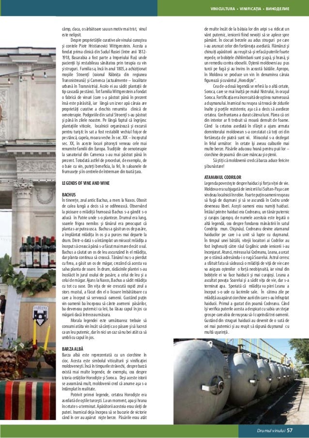 Wine Guide in Moldova