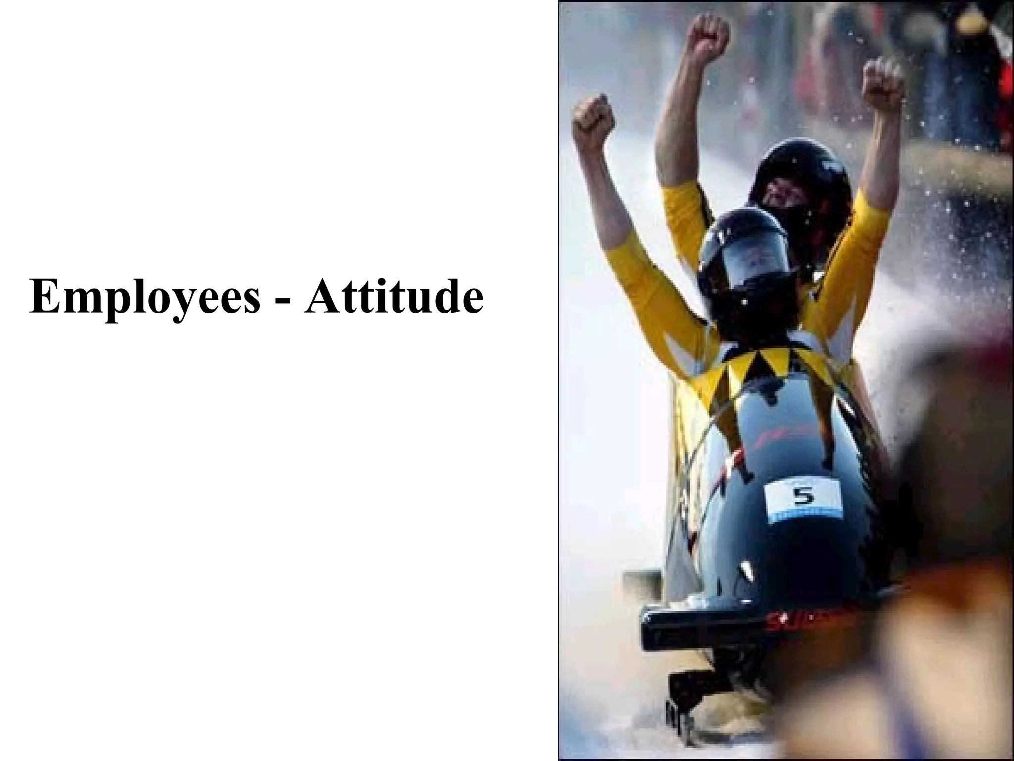 Employees - Attitude
 
