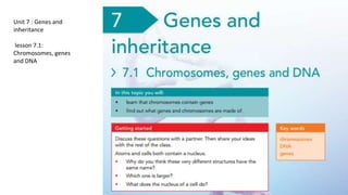 Unit 7 : Genes and
inheritance
lesson 7.1:
Chromosomes, genes
and DNA
 