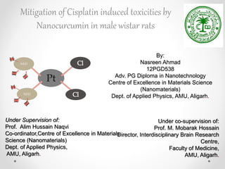 By:
Nasreen Ahmad
12PGD538
Adv. PG Diploma in Nanotechnology
Centre of Excellence in Materials Science
(Nanomaterials)
Dept. of Applied Physics, AMU, Aligarh.
Pt
NH3
NH3
H
Mitigation of Cisplatin induced toxicities by
Nanocurcumin in male wistar rats
Under Supervision of:
Prof. Alim Hussain Naqvi
Co-ordinator,Centre of Excellence in Materials
Science (Nanomaterials)
Dept. of Applied Physics,
AMU, Aligarh.
Under co-supervision of:
Prof. M. Mobarak Hossain
Director, Interdisciplinary Brain Research
Centre,
Faculty of Medicine,
AMU, Aligarh.
 