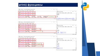 Python Programming Basics: Input, Output, and Data Handling Techniques ...